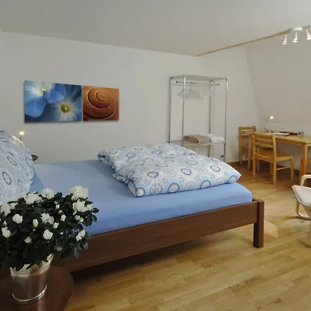 Luxury Justingerweg 伯尔尼