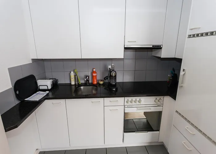 Luxury Justingerweg 아파트 *