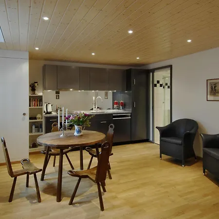 Luxury Justingerweg Apartment Bern